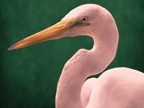 Pink Crane Emerald Green Print · Emerald Green Decor · Pink and Green · Large Wall Art · Maximalist Decor · Living Room Decor · Poster